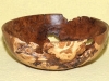 Bowl - Burr Elm